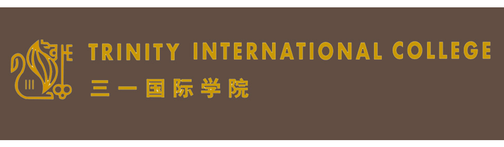 The Trinity International College